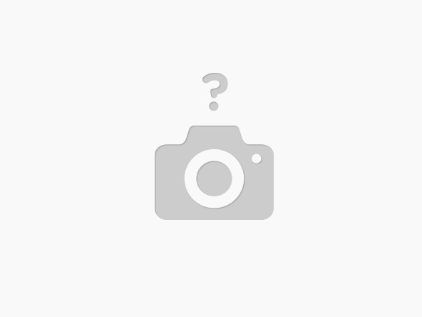 1xbet Alternative In Addition To Mirror Links Inside India